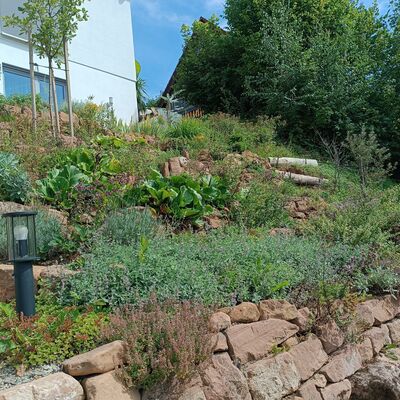 Bild vergr&ouml;&szlig;ern: 1. Platz in der Kategorie Vorgarten