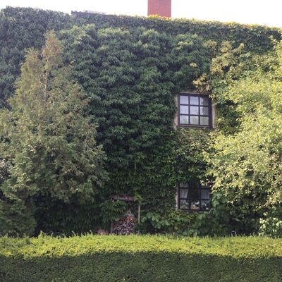 Bild vergr&ouml;&szlig;ern: 1. Platz in der Kategorie Balkon-, Dach- und Fassadengestaltung