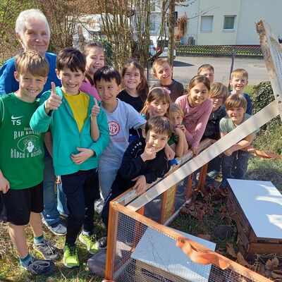 Bild vergr&ouml;&szlig;ern: Luzia-Grundschule Großostheim-Pflaumheim