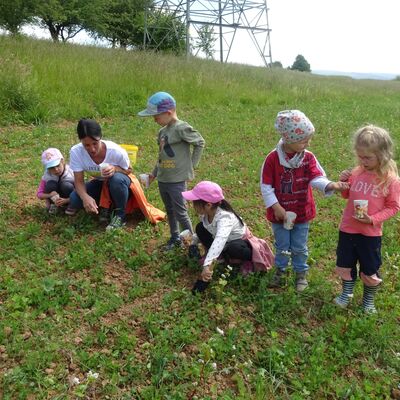 Bild vergr&ouml;&szlig;ern: Naturtag Frühling