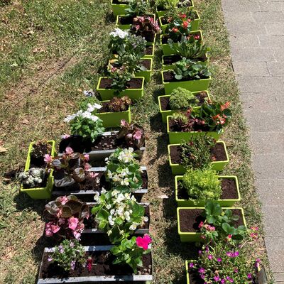 Bild vergr&ouml;&szlig;ern: Blumenkästen