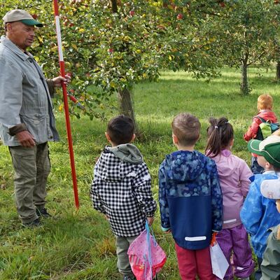 Bild vergr&ouml;&szlig;ern: Kinder auf Wiese