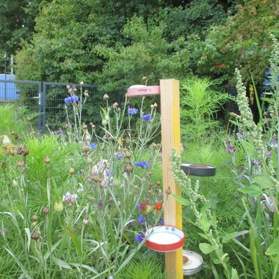 Bild vergr&ouml;&szlig;ern: Vogeltränke