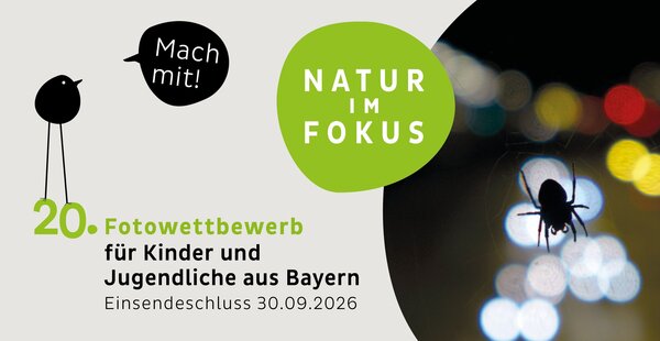 Fotowettbewerb "Natur im Fokus 2026"