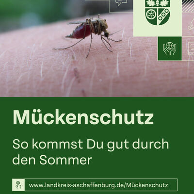 Bild vergr&ouml;&szlig;ern: Posting zum Mückenschutz - Bild 1
