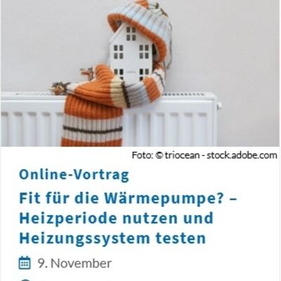 Online-Vortrag Heizungssystem testen