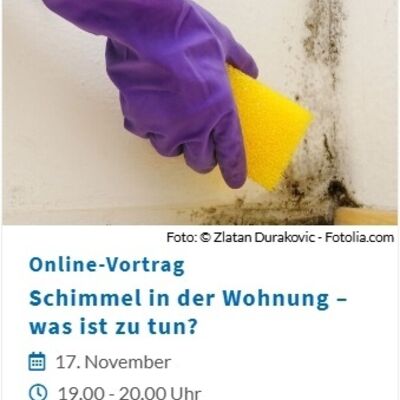Online-Vortrag Schimmel