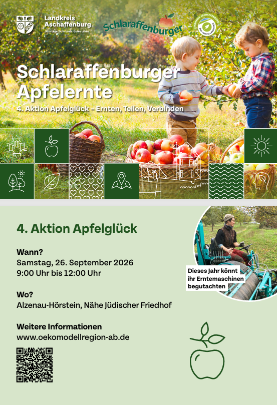 Bild vergr&ouml;&szlig;ern: Apfelsammelaktion