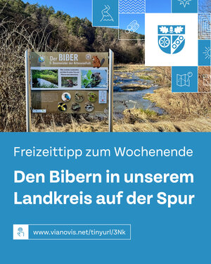 Bild vergr&ouml;&szlig;ern: Tourismus-Freizeittipp_Biber