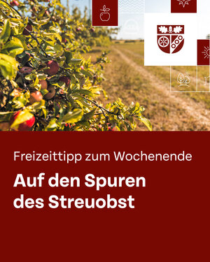 Bild vergr&ouml;&szlig;ern: Tourismus-Freizeittipp_Streuobst